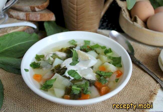 Зеленые щи из щавеля с яйцом и курицей