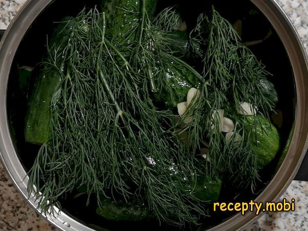 Step 6