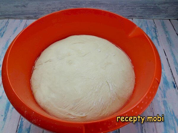 Step 19