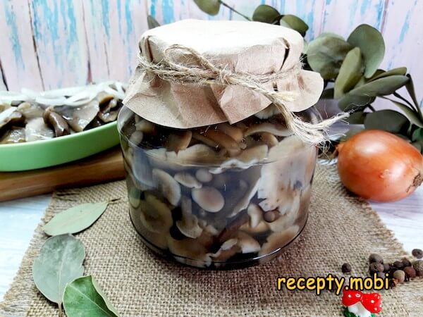 Маринованные опята на зиму