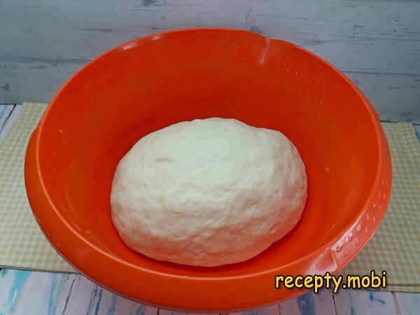 Step 16
