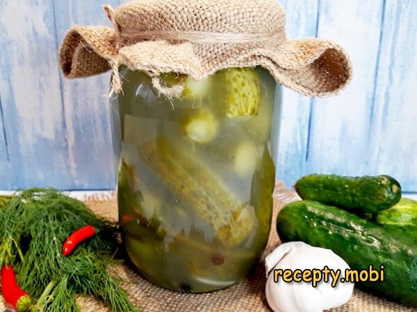 Квашения
