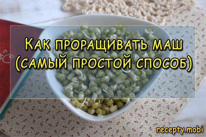 Как прорастить маш в домашних условиях (самый простой способ)