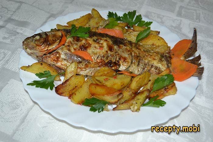Crucian carp baked in sour cream with potatoes