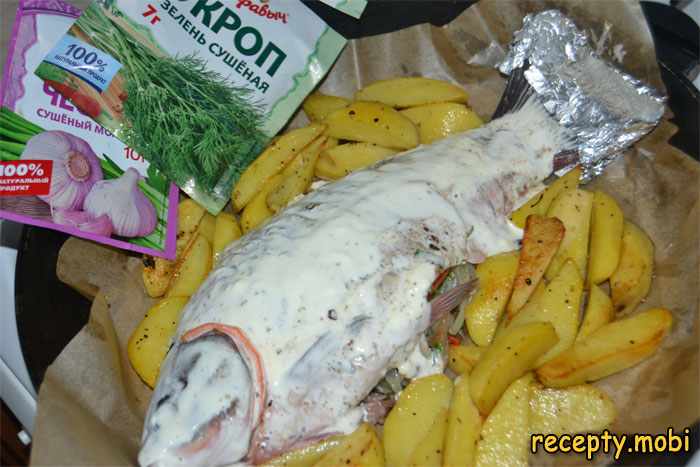 Step 20