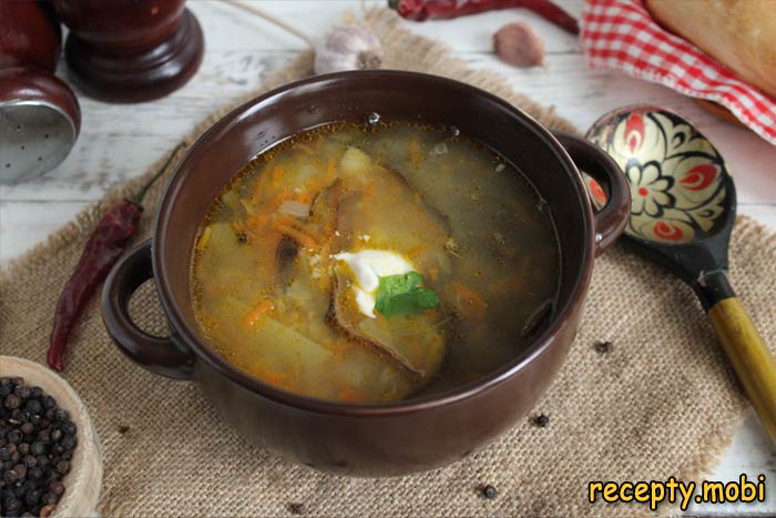 Грибовница из сухих лесных грибов