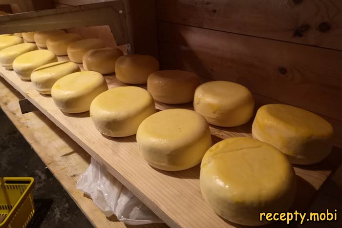 Cheese