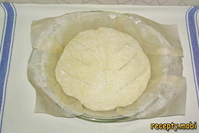 Step 15