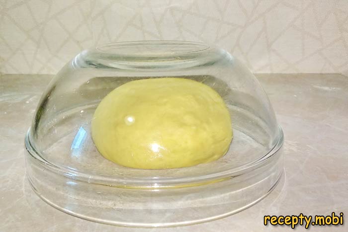 Step 11