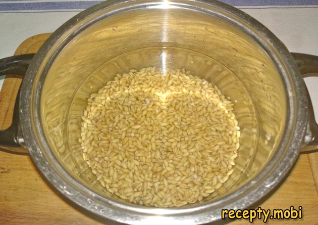 Step 6