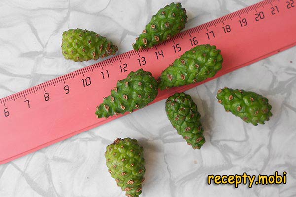 pine cones